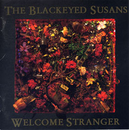 Welcome Stranger cover