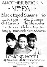 Another Brick in Nepal